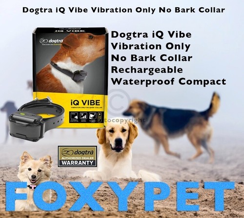 Dogtra iqvibe solo - dogtra,