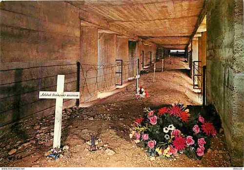 Carte postale verdun - postale,