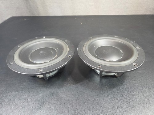 Dynaudio mw160 2 - dynaudio, 6-1/2”
