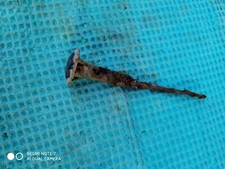 antico chiodo da collezione in