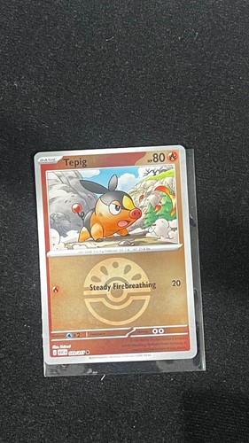 Tepig me - ball),