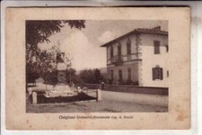CINIGIANO  FP  VIAGGIATA  1920  MONUMENTO BRUCHI 