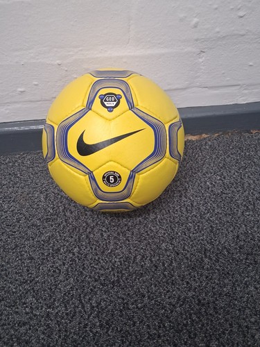 Pallone ufficiale invernale
