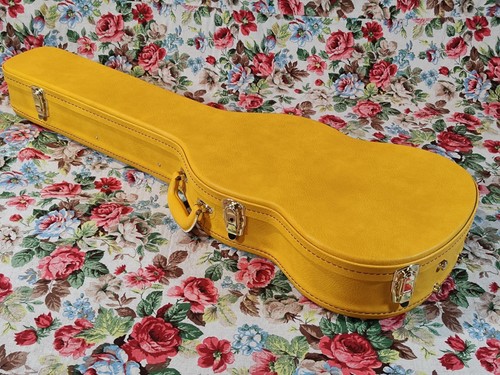 Custodia per chitarra - , tipo