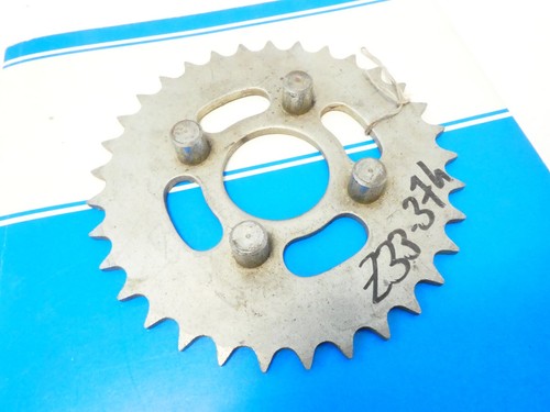 Per morini corsarino 48 - corsarino,
