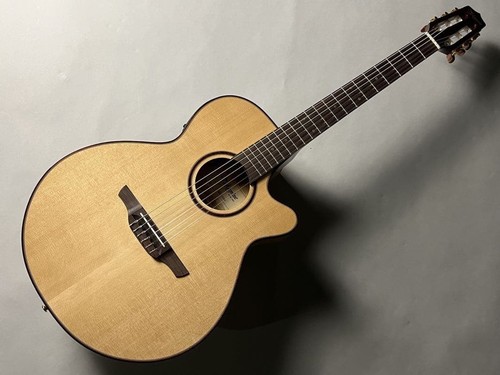 Chitarra elettrica acustica