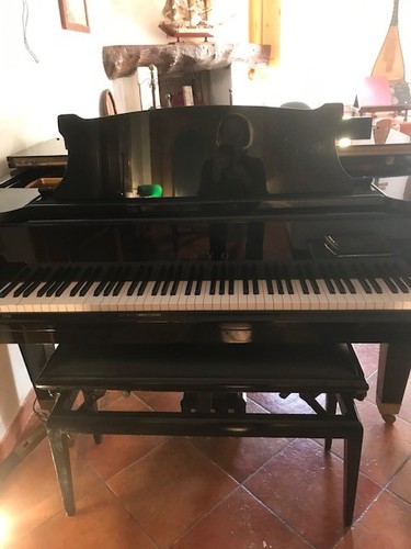 Pianoforte coda toyo - pianoforte, 3,