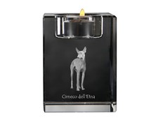 Cirneco dell etna - cirneco,