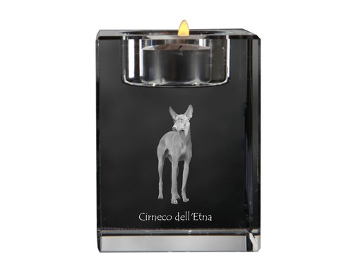 Cirneco dell etna - cirneco,