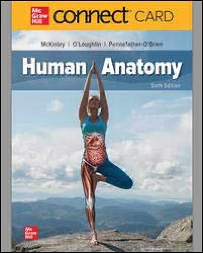 Human anatomy connect access - access,