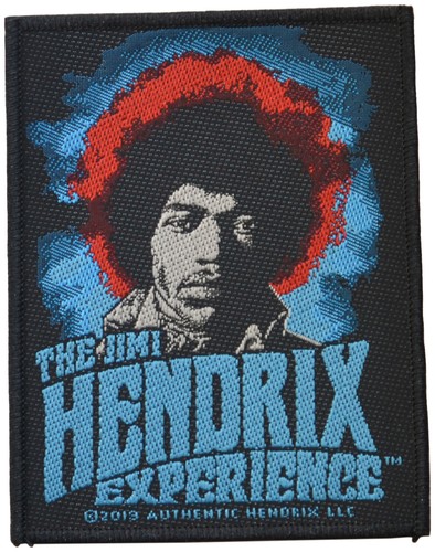 Jimi hendrix the - -,