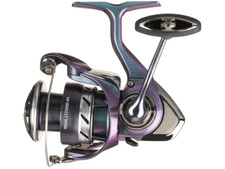 Daiwa Regal LT 2000D-XH 6.2:1