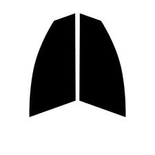 Pre Taglio Finestrino Tonalità per Renault Kangoo (Hatchback Stivale) 1998-07