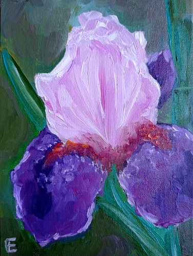 Dipinto olio originale iris - ad,