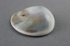 Pietra NATURALE marina liscia