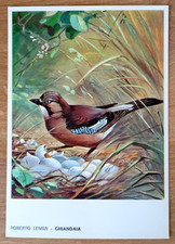 CARTOLINA GHIANDAIA CACCIA ROBERTO LEMMI EDITORIALE OLIMPIA