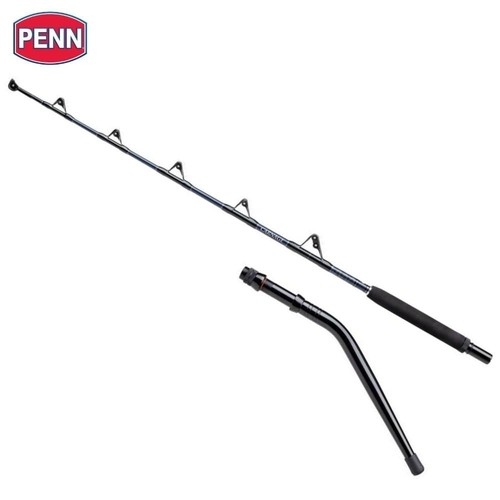 Canna pesca penn big - penn, game