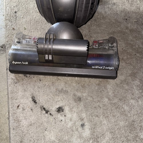 Dyson ball animal origin - ball, 2