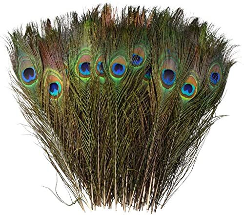 Baotongle pezzi piume - pezzi, di