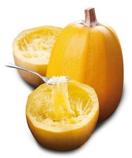 Semi selezionati zucca - semi, di