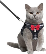 Set Imbracatura e Guinzaglio