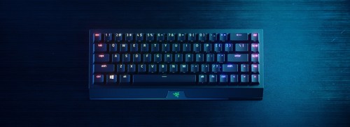 Razer blackwidow mini - razer, v3
