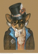 Chihuahua Dandy Baby A3