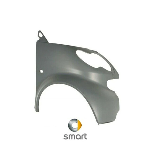 Parafango paraurti smart - parafango,