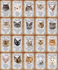 Insegne top, varie taglie