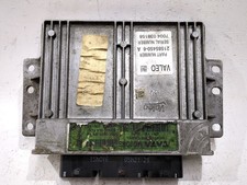 215854506A 7004038156