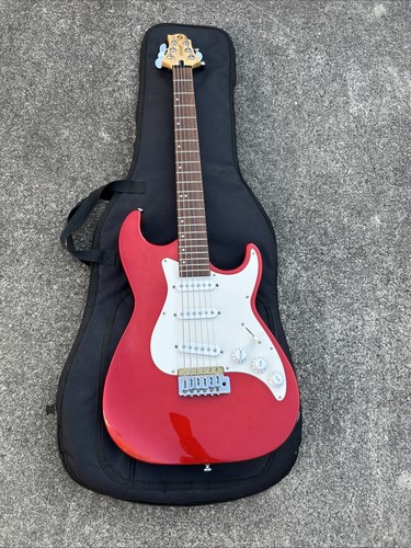 Custodia morbida chitarra