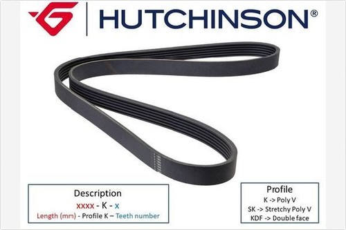 Cinghia poly hutchinson - cinghia,