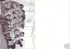 FOTOGRAFIA SQUADRA NOVARA PANCHINA [CL1292]