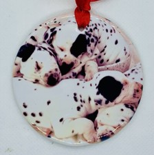 Dalmatian Puppies Sleeping