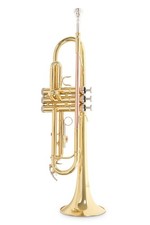 Roy Benson TR-101 in B tromba ottone verniciato