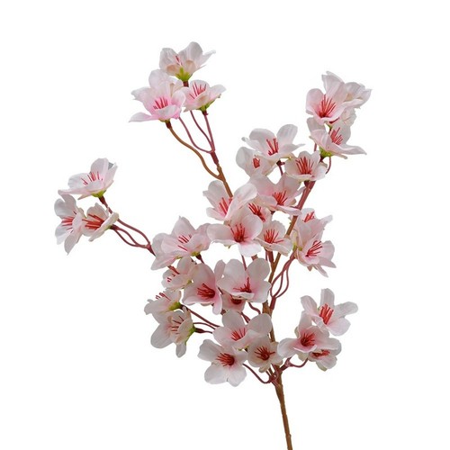 Ramo fiori pesco - di,