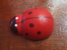 Coccinella piccolo amuleto - -,