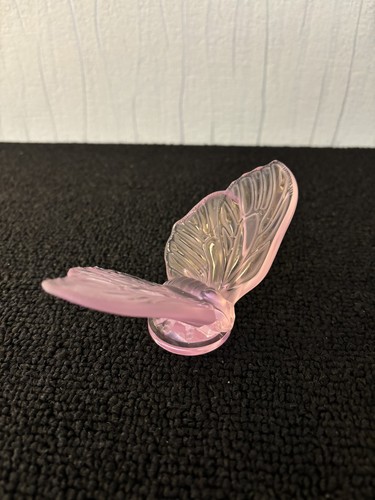Papillon aurore rose - , en