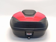 COPERCHIO DEL BAULE / 7243879