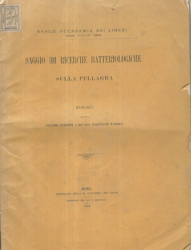Saggio ricerche - saggio,