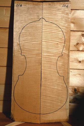 Legno per violoncello - , acero