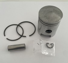 PISTONE POLINI RIZZATO