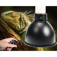 Staffa porta luce lampada