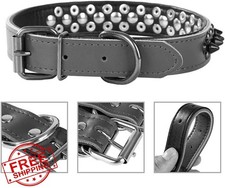 Serijoars Leather Spiked Dog