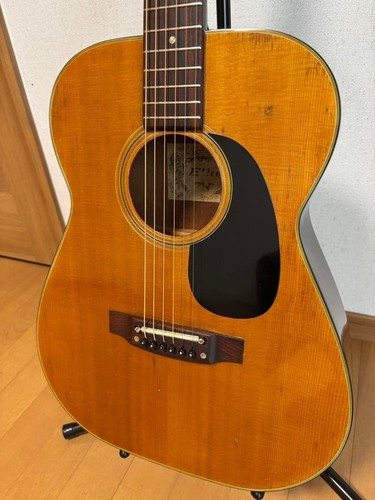 Chitarra acustica takamine - chitarra,