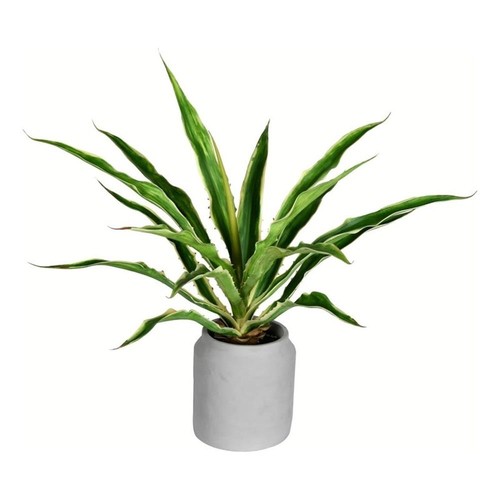 Pianta yucca artificiale in - pianta, di