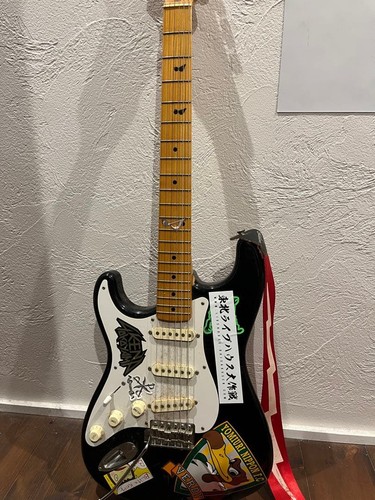 Fender stratocaster lefty - fender,