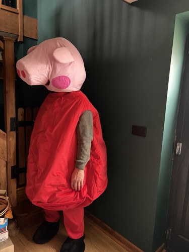 Peppa pig costume - peppa,