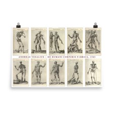 Andreas Vesalius, immagini