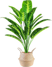 Fake Indoor Plant Artificial